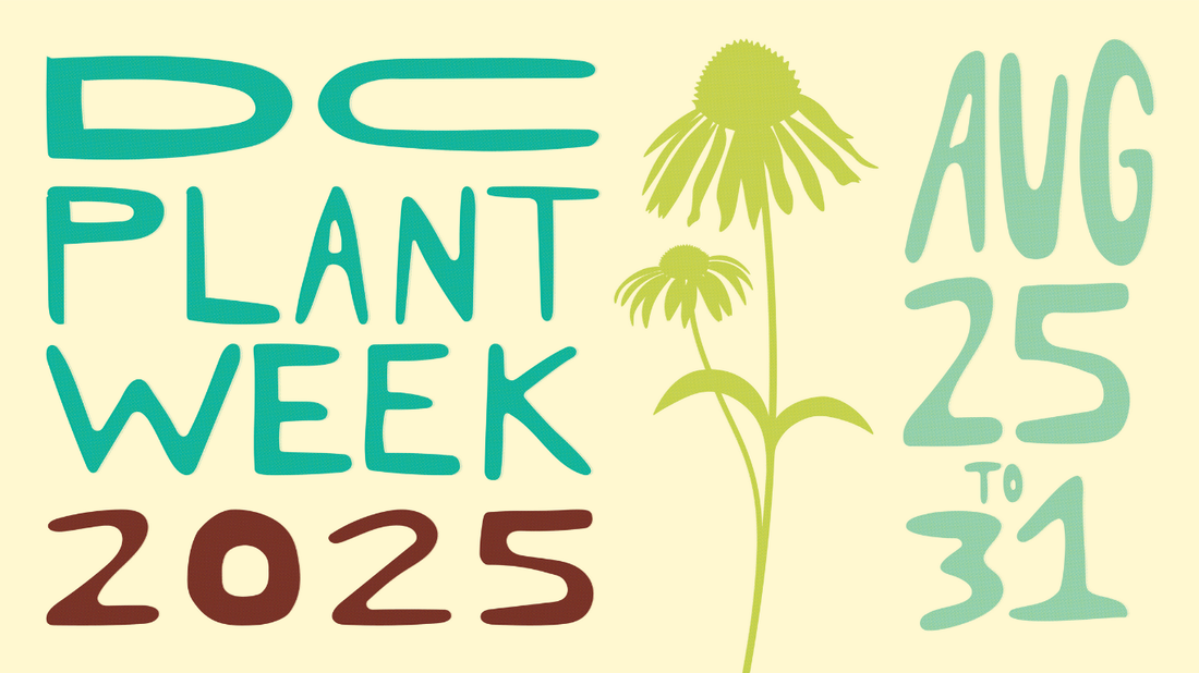 Celebrate DC Plant Week with us at Botanologica!