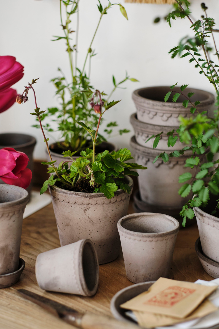 Pots and Vases
