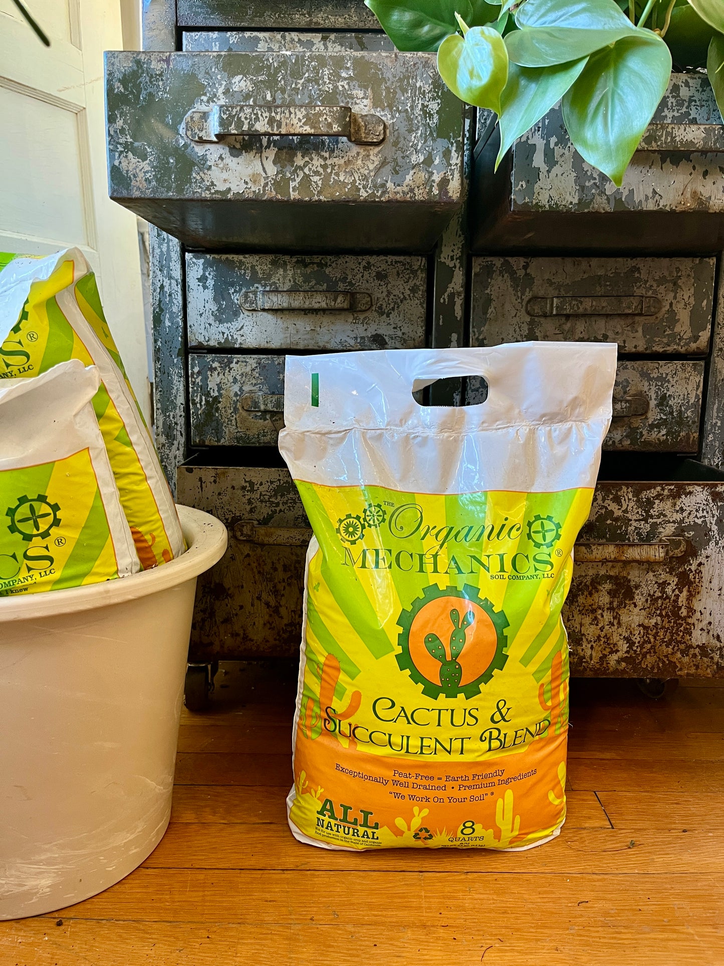 Organic Mechanics Cactus & Succulent Blend, 8qt