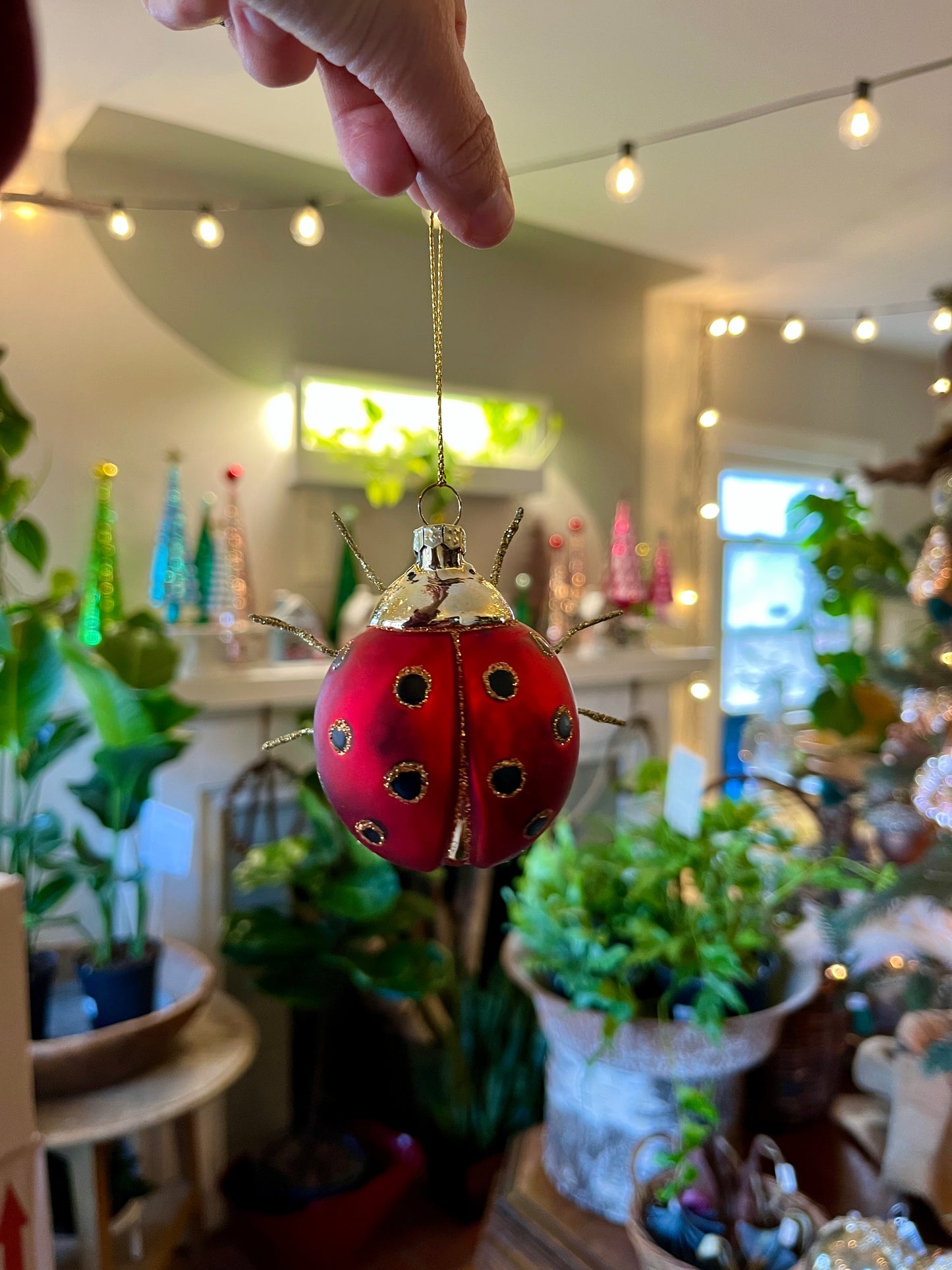 Garden Ladybug Ornament