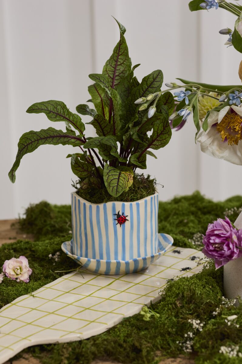 Ladybug Pot with Saucer 6.5" x 4.5"