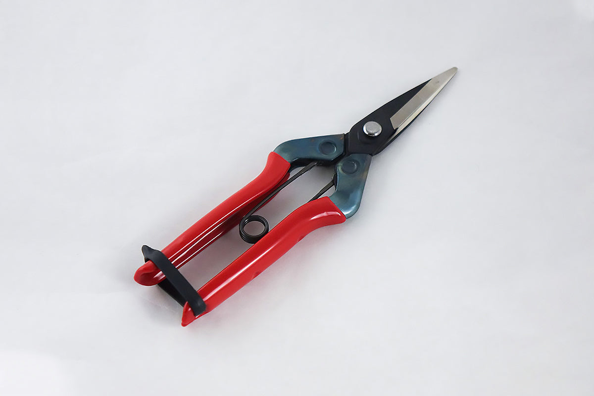 Chikamasa Almighty Shears