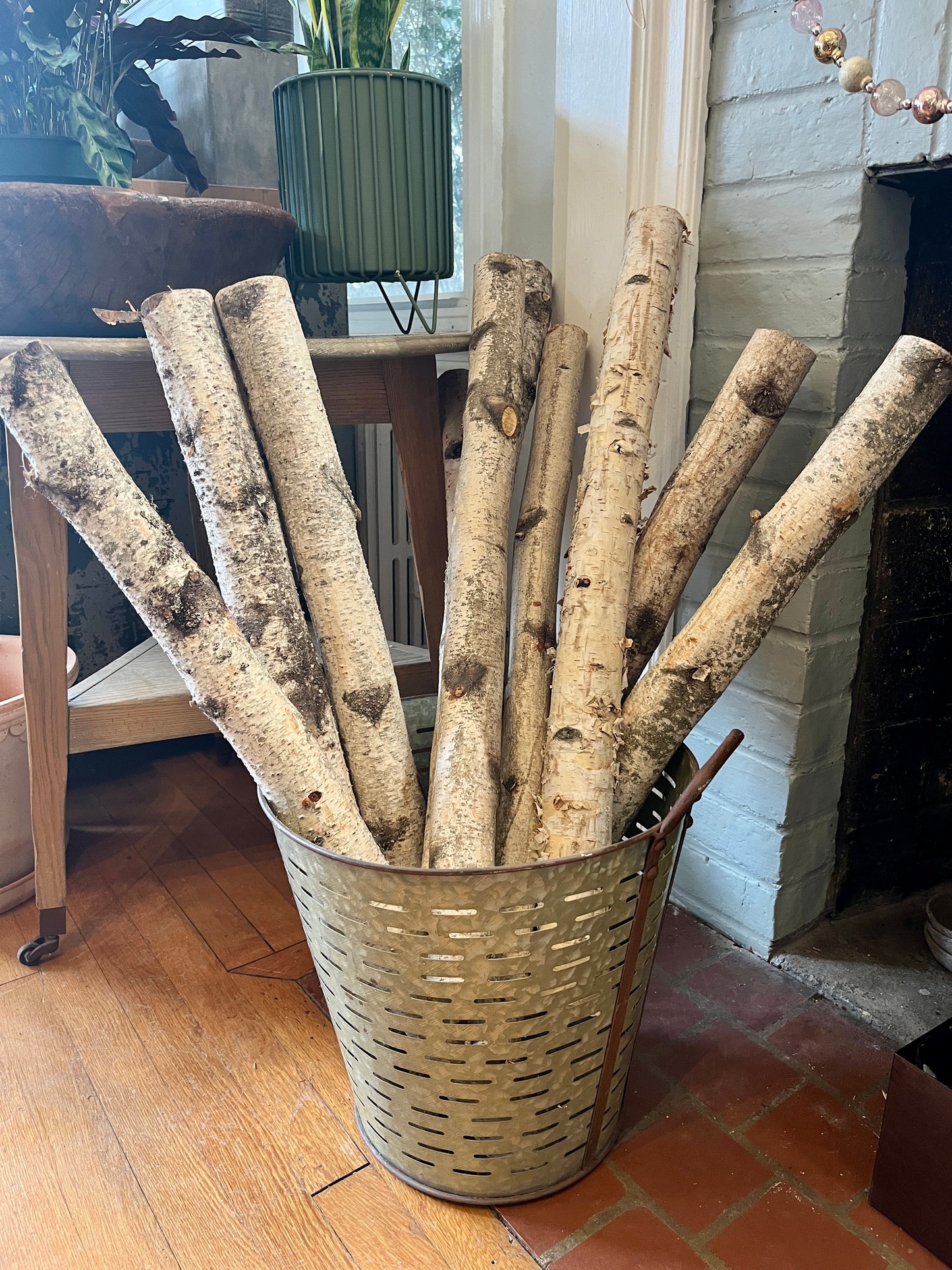 Birch Pole, 30"
