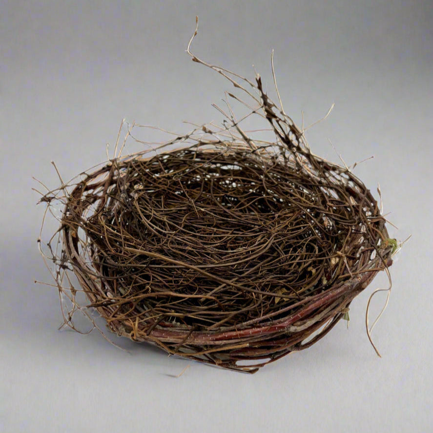 Sparrows Nest