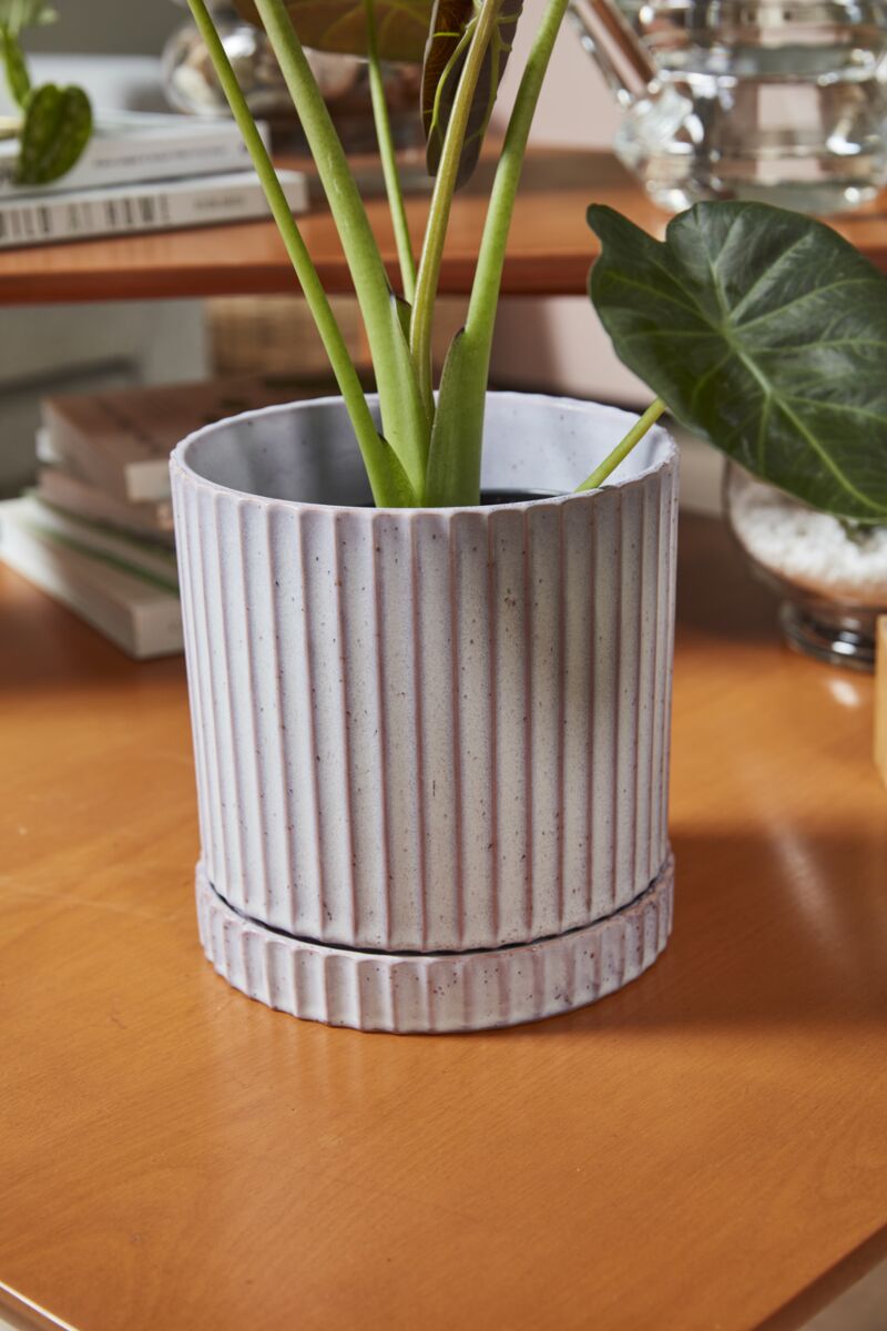 Los Feliz Pot with Saucer 6.5"x 7"
