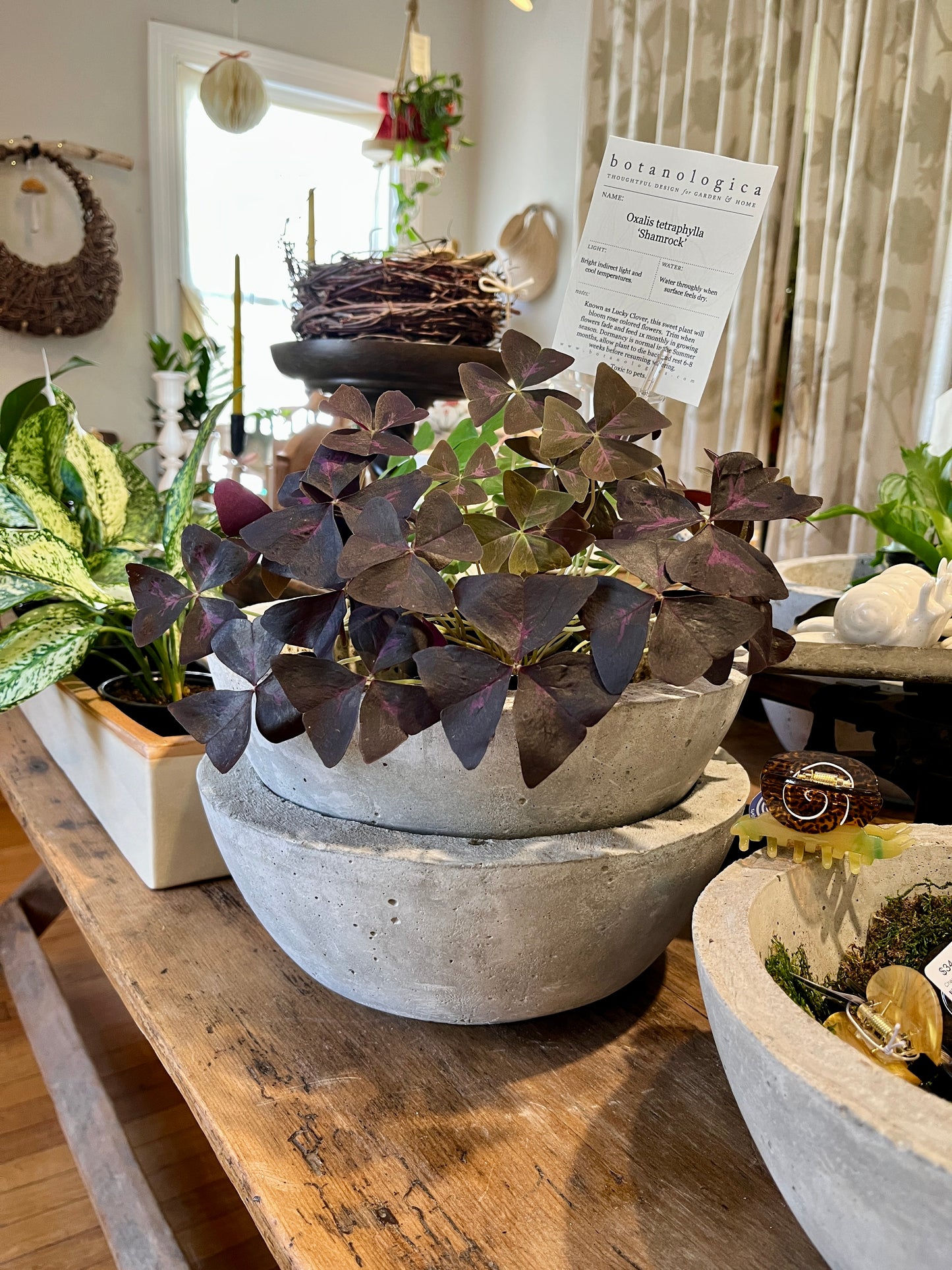 Concrete Bowl
