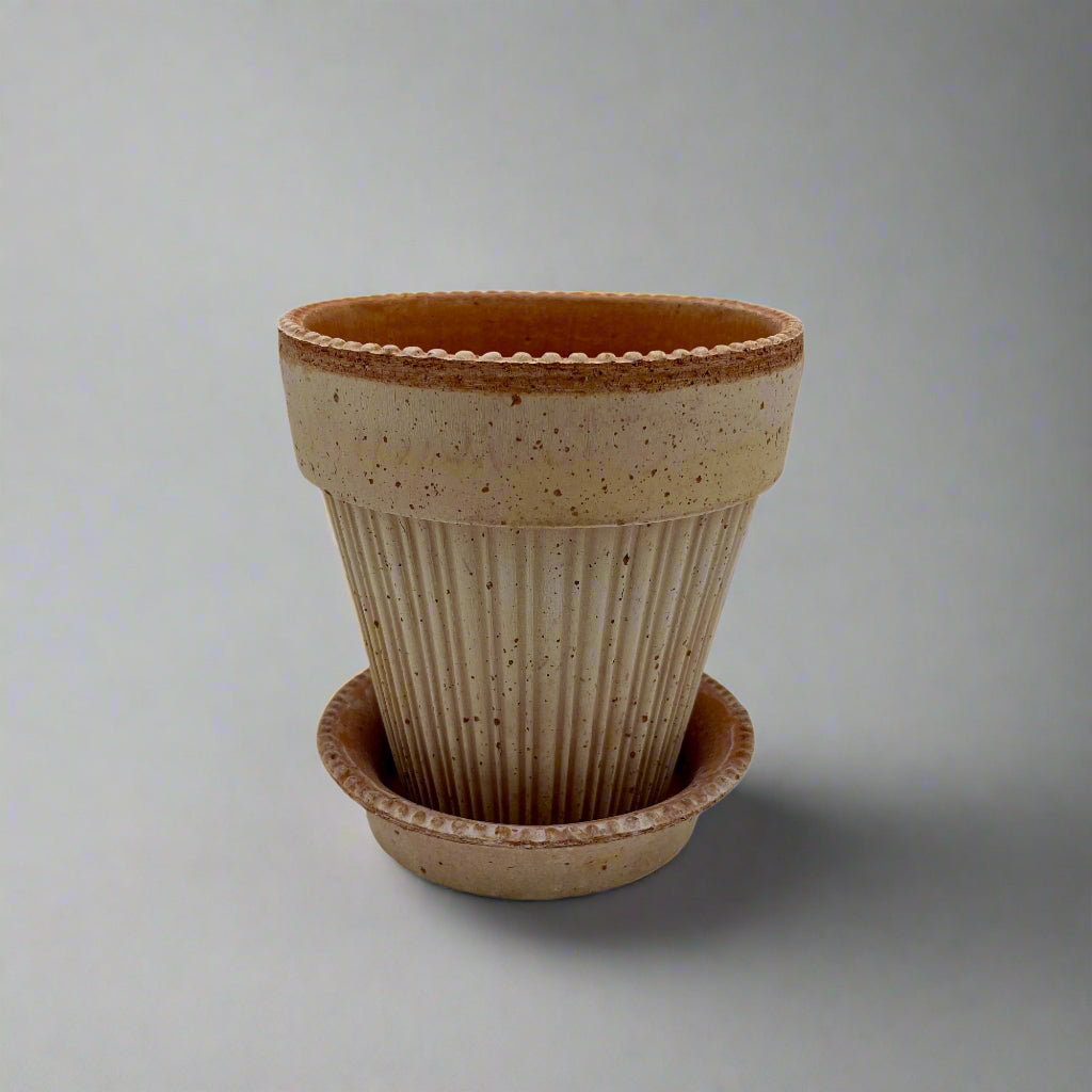 14cm Simona Rosa
