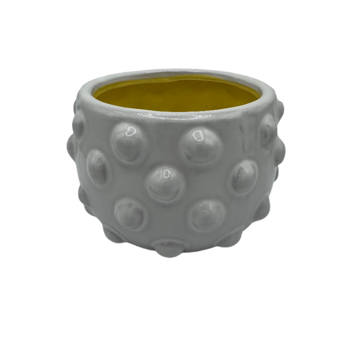 Fem Rosa Pot 6.5"x 4.75"