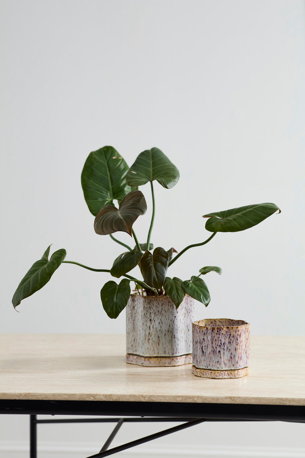 Avenell Pot 7.25" x 7"