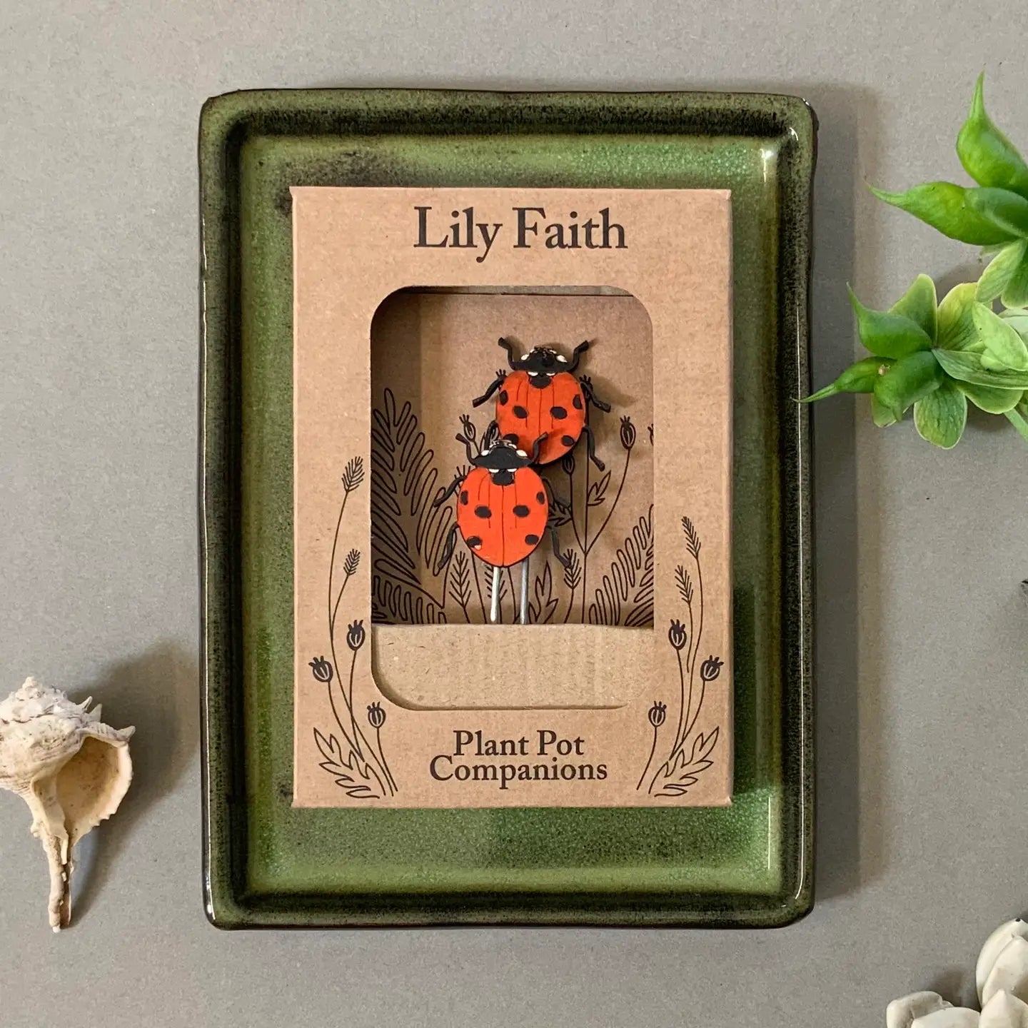 Plant Pot Companion - Ladybird