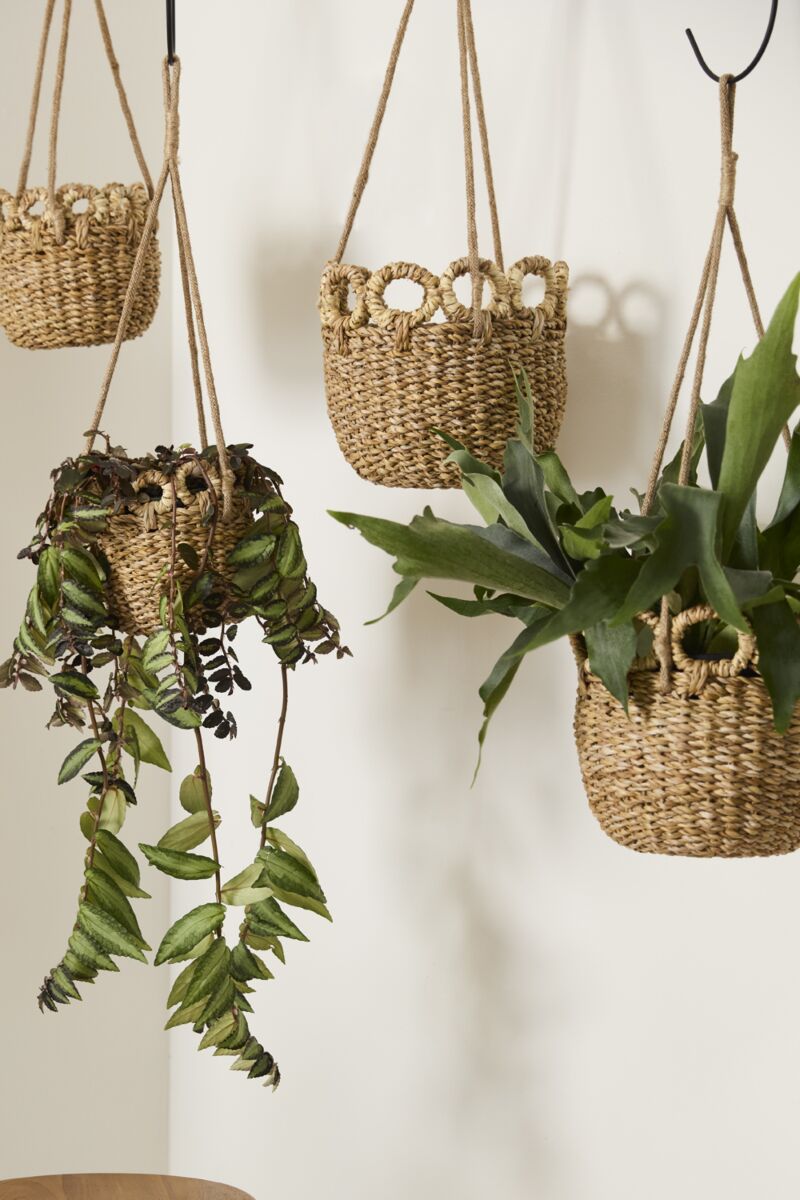 Verse Hanging Basket 6.5"x 20"