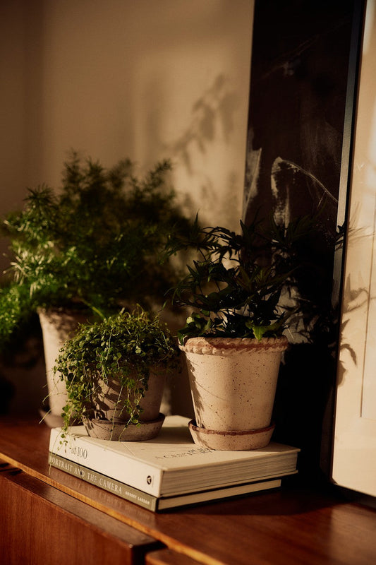 Holiday Gift Guide: For the Gardener in Your Life