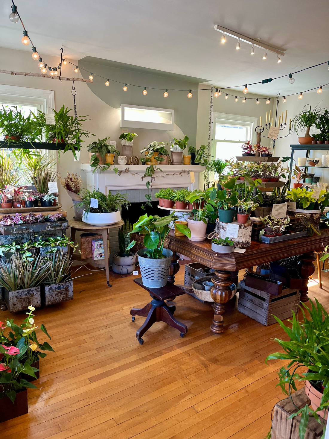 Want to Try Something New? Don’t Miss These Flower + Maker Workshops in Falls Church