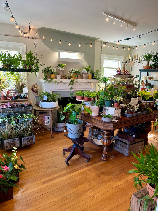 Want to Try Something New? Don’t Miss These Flower + Maker Workshops in Falls Church