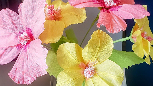 Make Your Hibiscus Workshop | Saturday, July 26, 2025