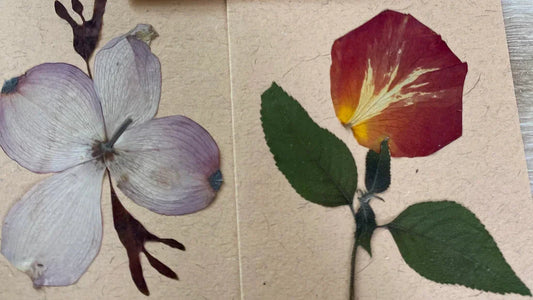 Pressed Flower Card Making Workshop | Saturday, May 3rd, 2025