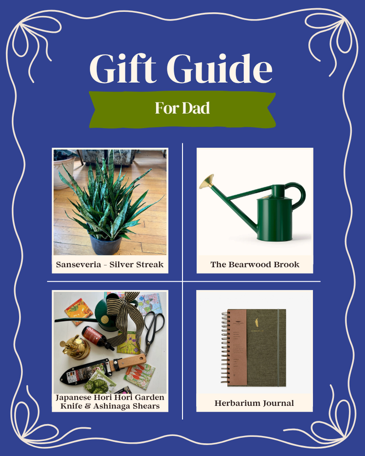 Gift Guide: For Dad