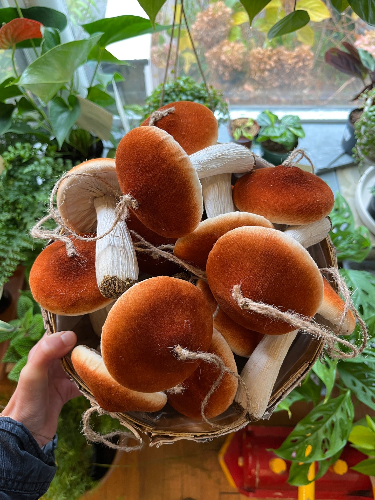 Brown Velvet Mushroom (12cm)