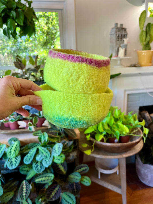 Small Yellow Bowls