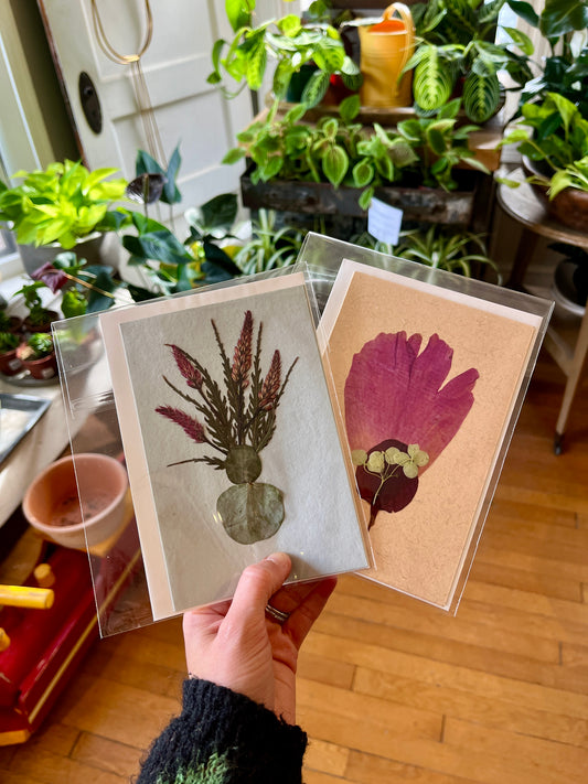 Pressed Dried Flower Cards
