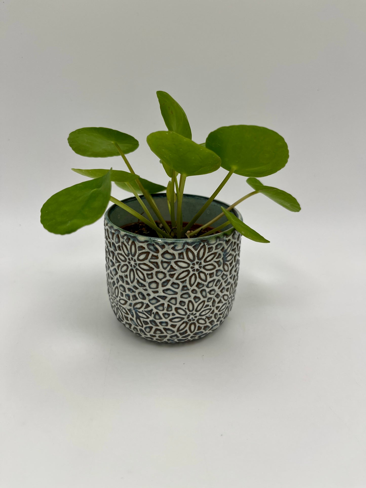 Millie Pot 3" x 2.5"