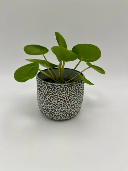 Millie Pot 3" x 2.5"