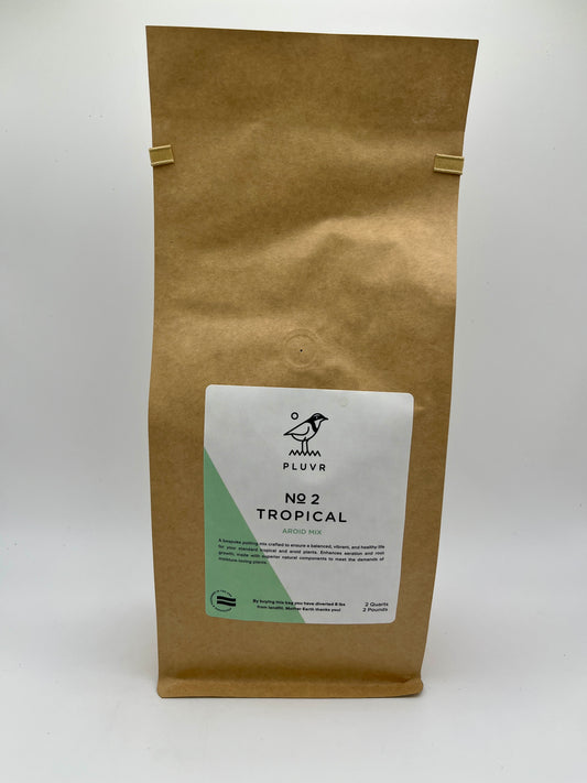 2 Qt No. 2 Tropical Aroid Mix