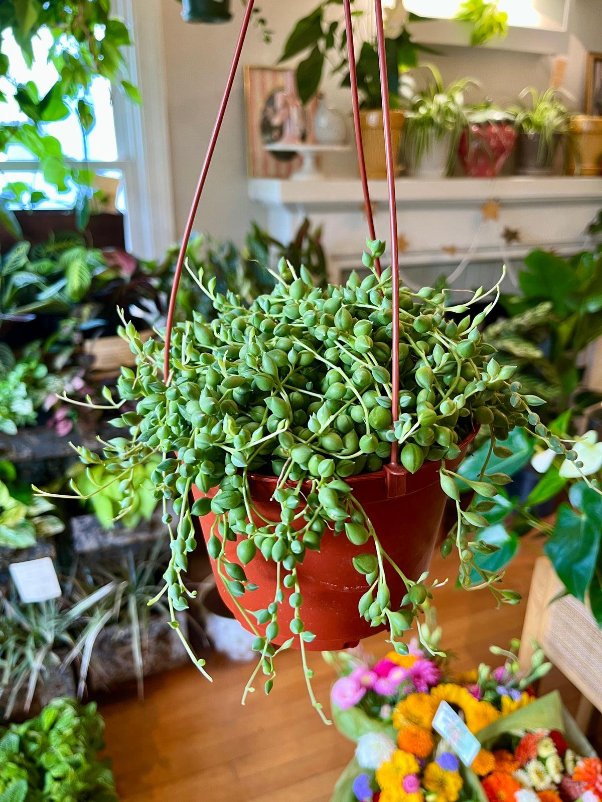 6"HB String of Teardrops