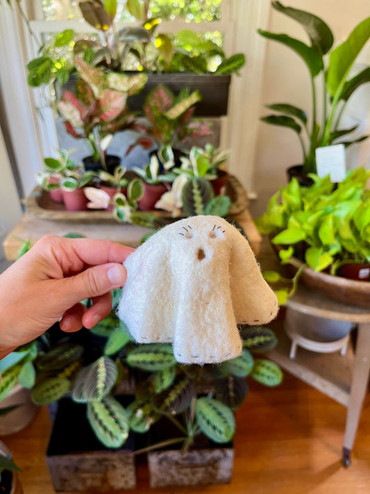 Small Ghost