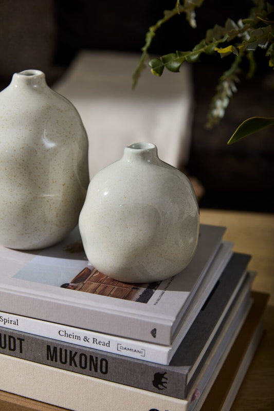 Lori Budvase