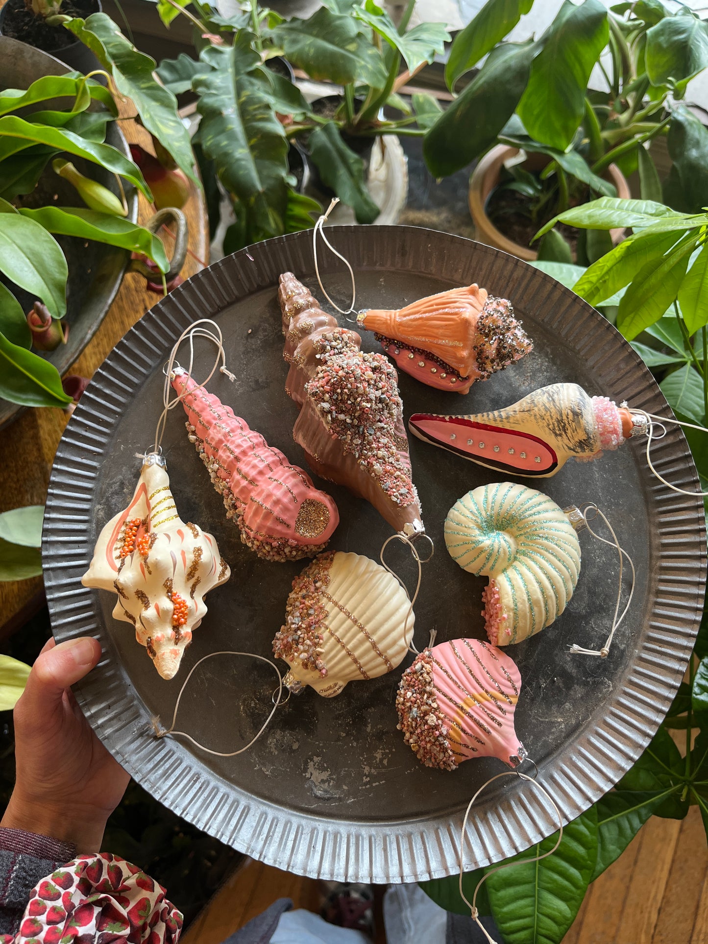 Beachcomber Shell Ornament