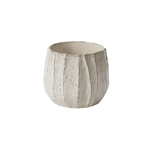 Beechwood Pot 8"x 6.75"