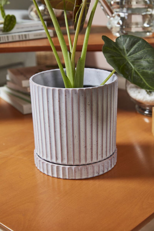 Los Feliz Pot with Saucer 6.5"x 7"