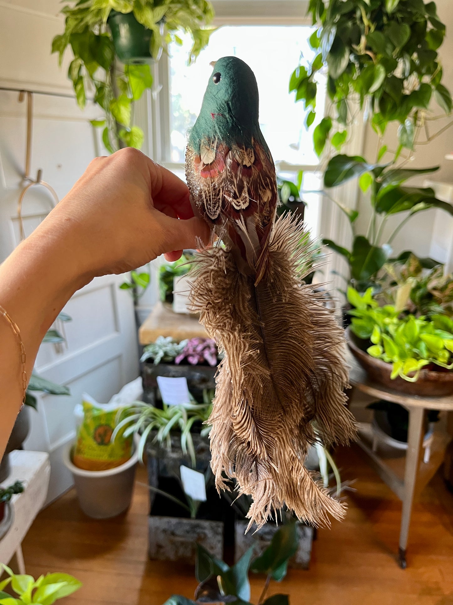 Green Feather Bird Clip