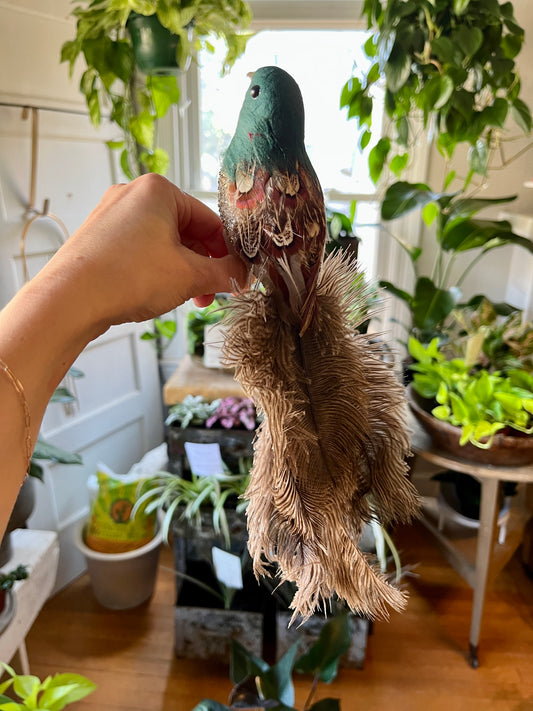 Green Feather Bird Clip