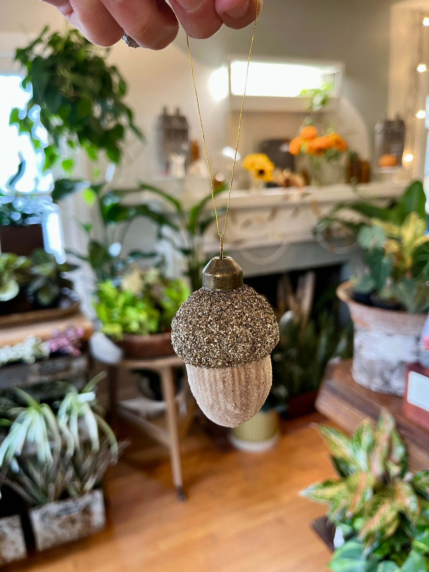 Glass Acorn Ornament