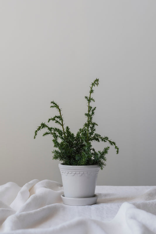 18cm Københavner Glazed Mineral White