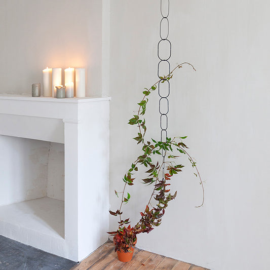 Climbing Plant Support Chain