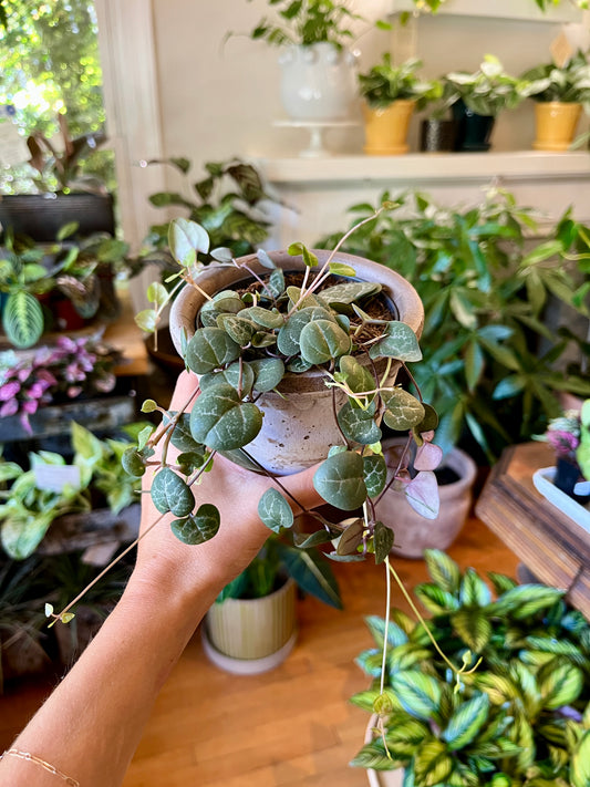 3.5" String of Hearts
