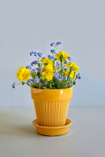 18cm Simona Glazed Amber Yellow